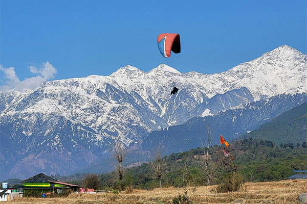 Village Homestay in Bir Billing | Live Local Life